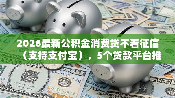 2026最新公积金消费贷不看征信（支持支付宝），5个贷款平台推荐无私分享