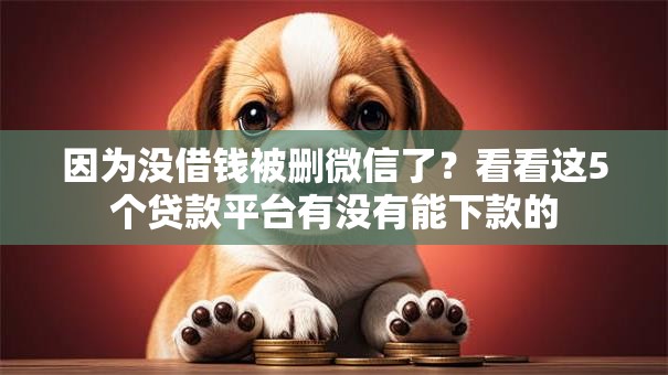 因为没借钱被删微信了？看看这5个贷款平台有没有能下款的
