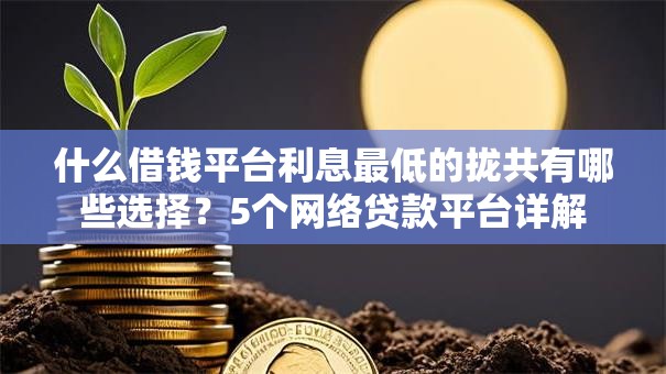 什么借钱平台利息最低的拢共有哪些选择?5个网络贷款平台详解 什么借钱平台利息最低的拢共有哪些选择?5个网络贷款平台详解