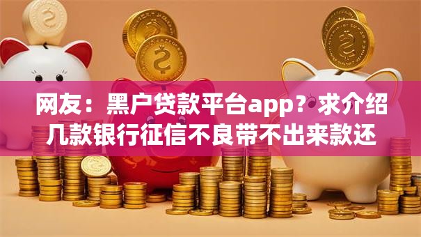 网友：黑户贷款平台app？求介绍几款银行征信不良带不出来款还可以贷的平台