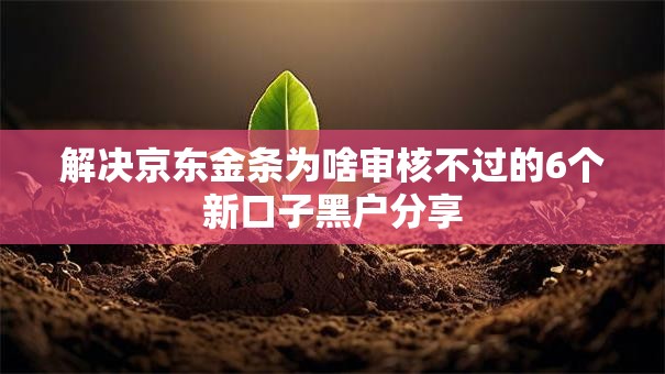 解决京东金条为啥审核不过的6个新口子黑户分享