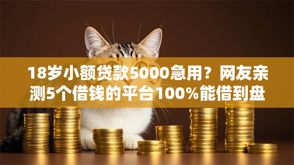 18岁小额贷款5000急用？网友亲测5个借钱的平台100%能借到盘点