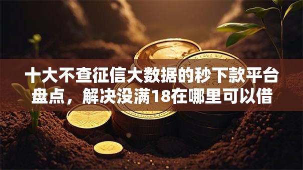 十大不查征信大数据的秒下款平台盘点，解决没满18在哪里可以借钱的问题