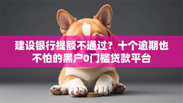 建设银行提额不通过？十个逾期也不怕的黑户0门槛贷款平台