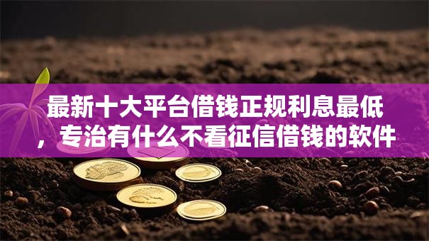 最新十大平台借钱正规利息最低，专治有什么不看征信借钱的软件