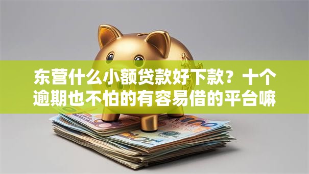 东营什么小额贷款好下款？十个逾期也不怕的有容易借的平台嘛