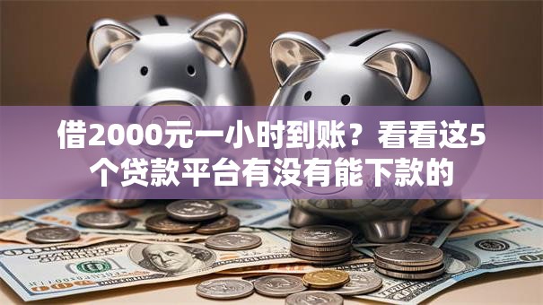 借2000元一小时到账？看看这5个贷款平台有没有能下款的