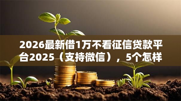 2026最新借1万不看征信贷款平台2025（支持微信），5个怎样投诉网贷平台无私分享
