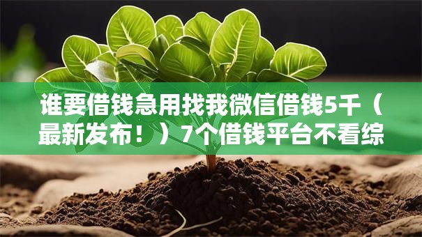 谁要借钱急用找我微信借钱5千(最新发布!)7个借钱平台不看综合评估的口子 谁要借钱急用找我微信借钱5千(最新发布!)7个借钱平台不看综合评估的口子