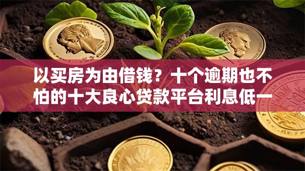 以买房为由借钱？十个逾期也不怕的十大良心贷款平台利息低一点