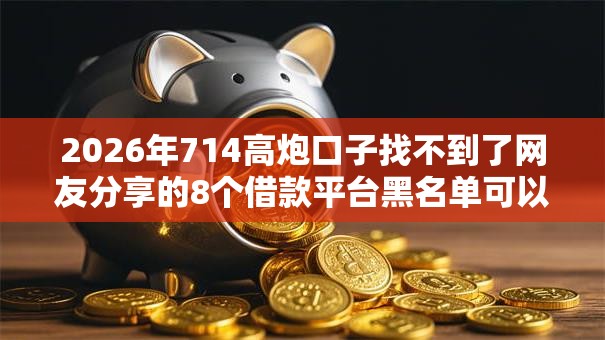 2026年714高炮口子找不到了网友分享的8个借款平台黑名单可以借钱我觉得不错！
