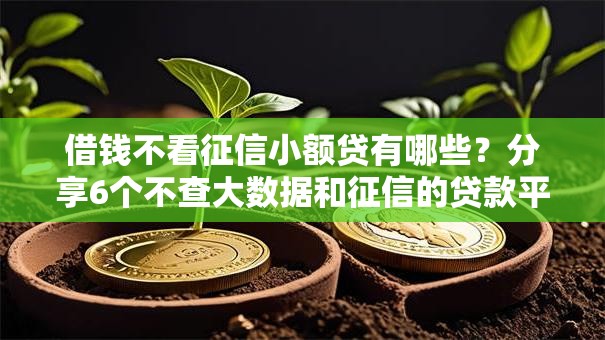 借钱不看征信小额贷有哪些?分享6个不查大数据和征信的贷款平台 借钱不看征信小额贷有哪些?分享6个不查大数据和征信的贷款平台