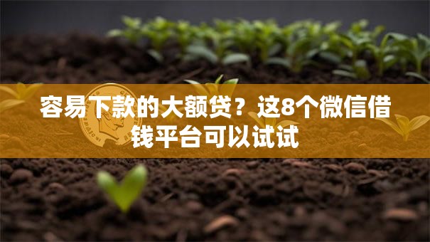 容易下款的大额贷？这8个微信借钱平台可以试试