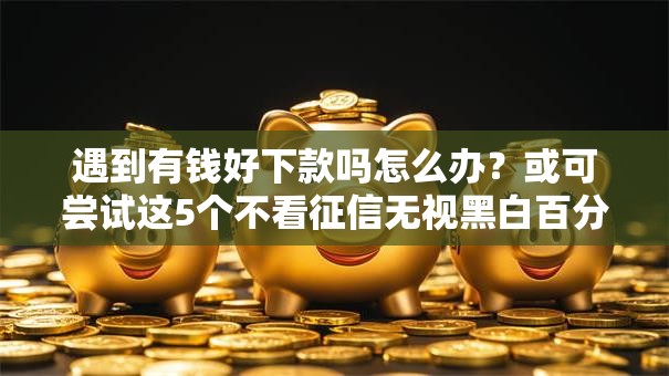 遇到有钱好下款吗怎么办？或可尝试这5个不看征信无视黑白百分百下款口子