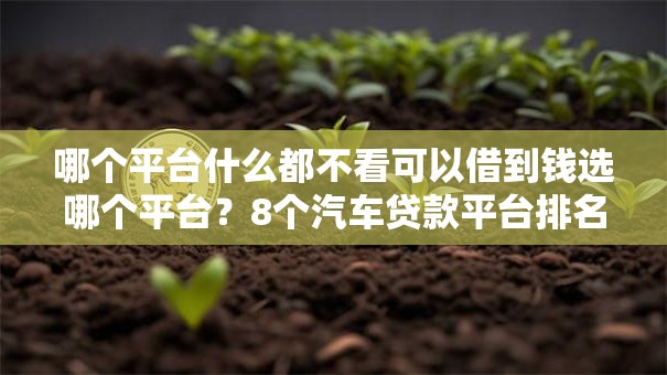 哪个平台什么都不看可以借到钱选哪个平台？8个汽车贷款平台排名不分先后前十推荐