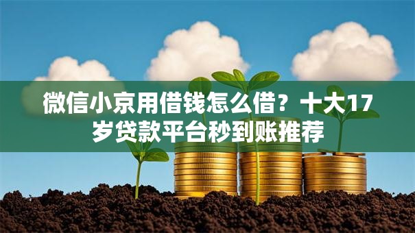 微信小京用借钱怎么借？十大17岁贷款平台秒到账推荐