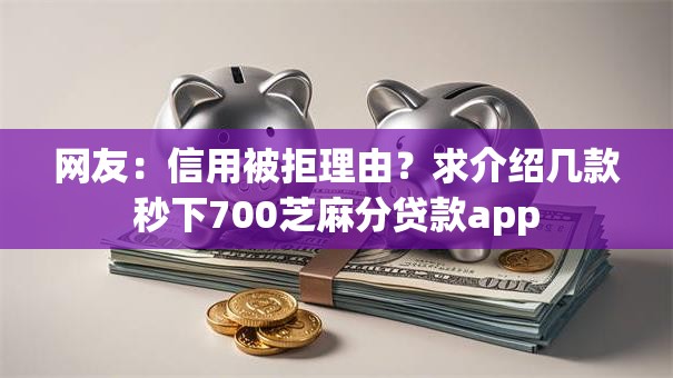 网友：信用被拒理由？求介绍几款秒下700芝麻分贷款app