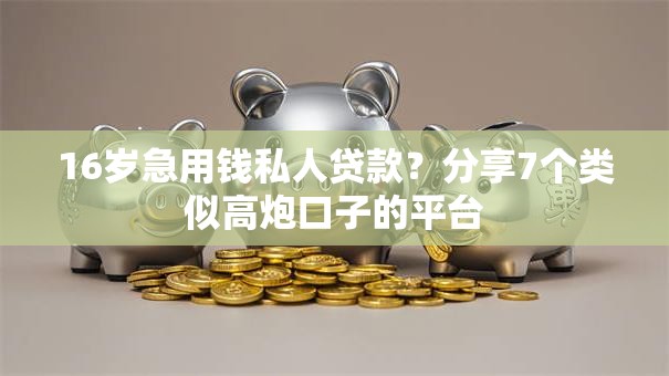 16岁急用钱私人贷款？分享7个类似高炮口子的平台