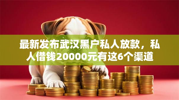 最新发布武汉黑户私人放款，私人借钱20000元有这6个渠道