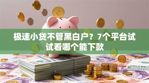 极速小贷不管黑白户?7个平台试试看哪个能下款 极速小贷不管黑白户?7个平台试试看哪个能下款