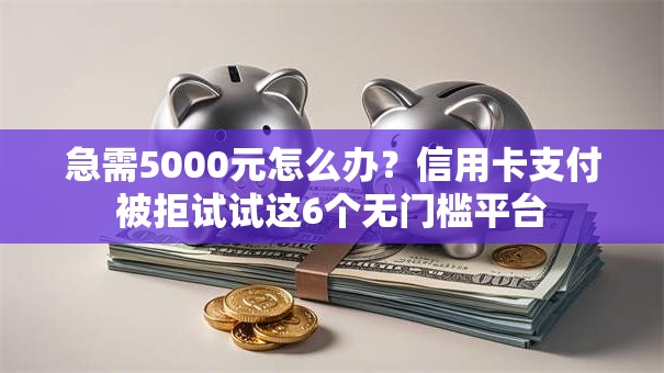 急需5000元怎么办？信用卡支付被拒试试这6个无门槛平台
