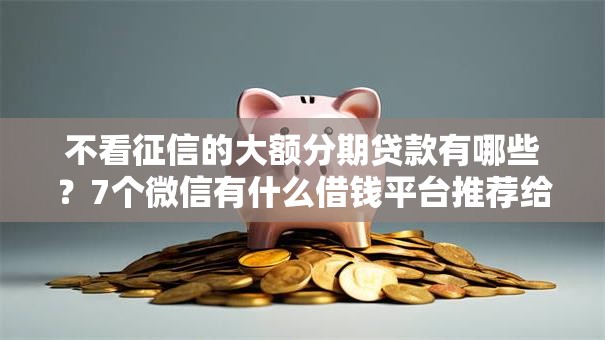 不看征信的大额分期贷款有哪些?7个微信有什么借钱平台推荐给你 不看征信的大额分期贷款有哪些?7个微信有什么借钱平台推荐给你