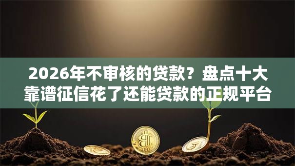 2026年不审核的贷款?盘点十大靠谱征信花了还能贷款的正规平台 2026年不审核的贷款?盘点十大靠谱征信花了还能贷款的正规平台