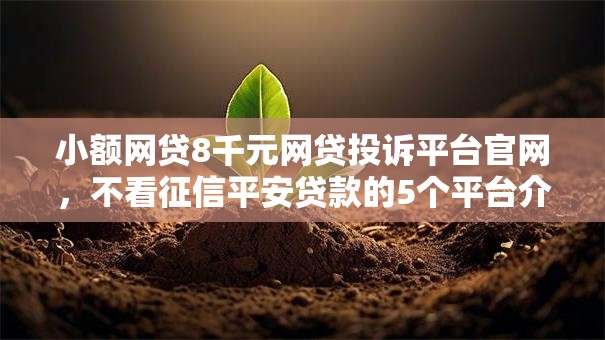 小额网贷8千元网贷投诉平台官网,不看征信平安贷款的5个平台介绍 小额网贷8千元网贷投诉平台官网,不看征信平安贷款的5个平台介绍