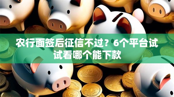农行面签后征信不过?6个平台试试看哪个能下款 农行面签后征信不过?6个平台试试看哪个能下款