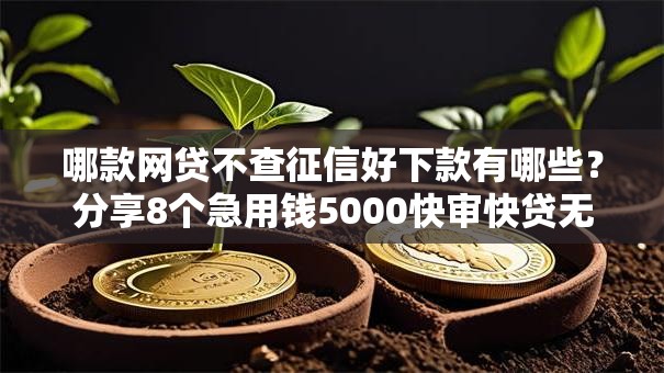 哪款网贷不查征信好下款有哪些？分享8个急用钱5000快审快贷无需征信口子