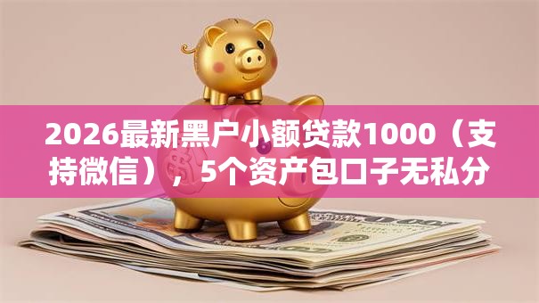 2026最新黑户小额贷款1000（支持微信），5个资产包口子无私分享