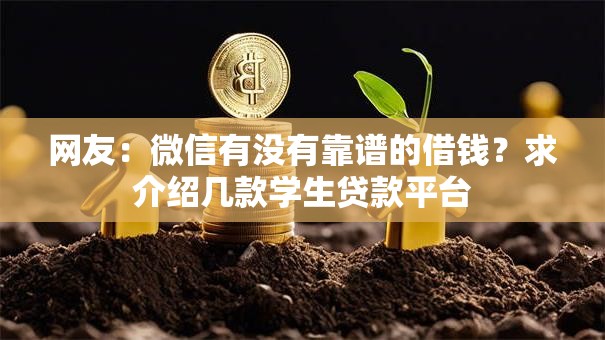 网友：微信有没有靠谱的借钱？求介绍几款学生贷款平台