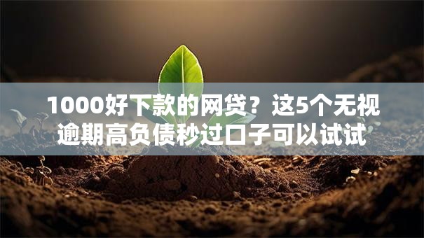 1000好下款的网贷？这5个无视逾期高负债秒过口子可以试试