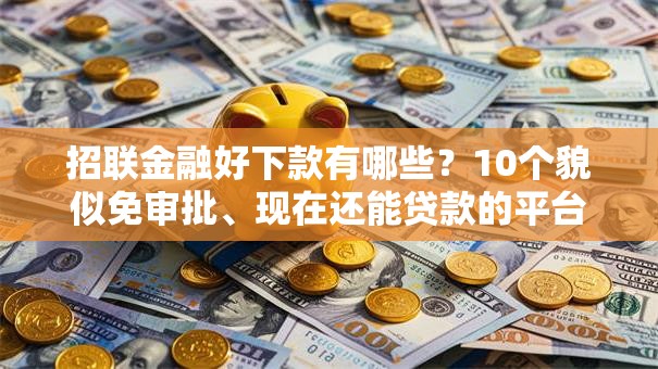 招联金融好下款有哪些？10个貌似免审批、现在还能贷款的平台合集