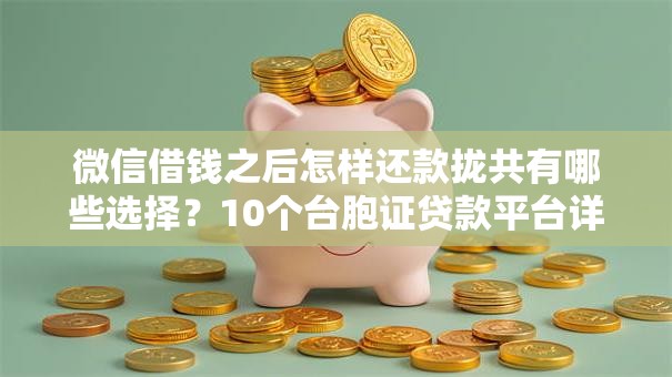 微信借钱之后怎样还款拢共有哪些选择？10个台胞证贷款平台详解