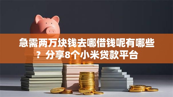 急需两万块钱去哪借钱呢有哪些？分享8个小米贷款平台