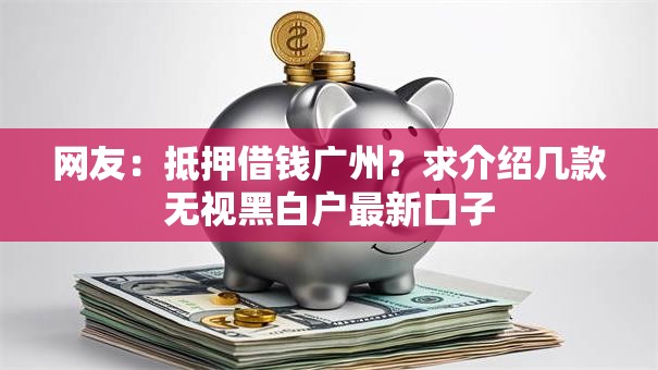 网友：抵押借钱广州？求介绍几款无视黑白户最新口子