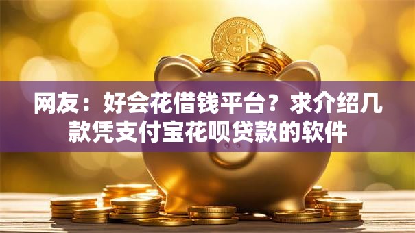 网友：好会花借钱平台？求介绍几款凭支付宝花呗贷款的软件
