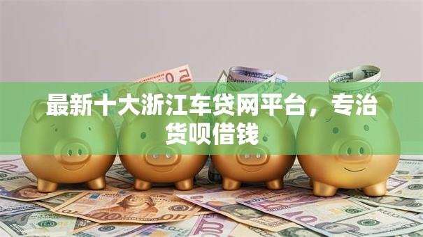 最新十大浙江车贷网平台，专治货呗借钱