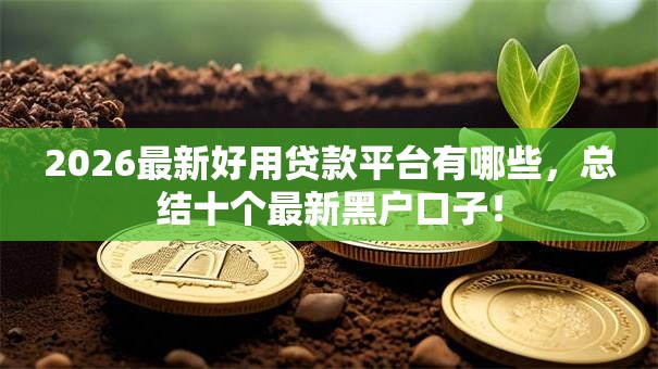 2026最新好用贷款平台有哪些，总结十个最新黑户口子！