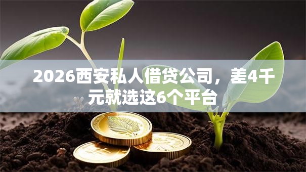 2026西安私人借贷公司，差4千元就选这6个平台