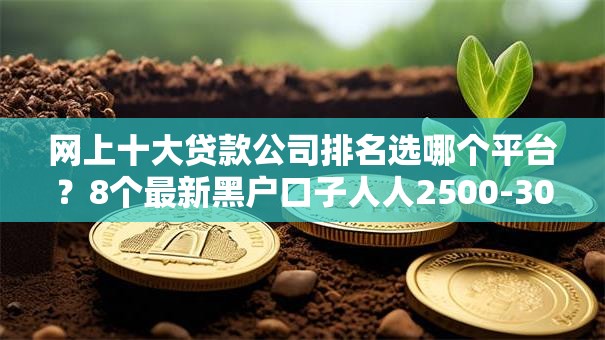 网上十大贷款公司排名选哪个平台？8个最新黑户口子人人2500-3000推荐