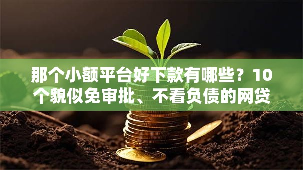 那个小额平台好下款有哪些?10个貌似免审批、不看负债的网贷平台合集 那个小额平台好下款有哪些?10个貌似免审批、不看负债的网贷平台合集