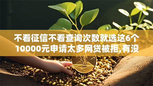 不看征信不看查询次数就选这6个10000元申请太多网贷被拒,有没有可以贷款的平台