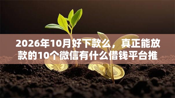 2026年10月好下款么，真正能放款的10个微信有什么借钱平台推荐