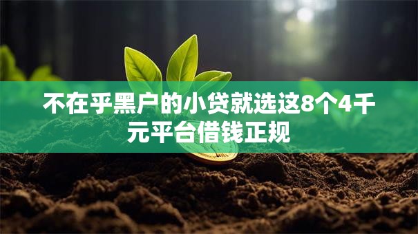 不在乎黑户的小贷就选这8个4千元平台借钱正规
