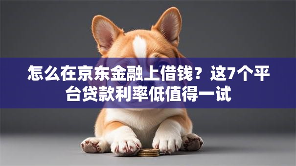 怎么在京东金融上借钱？这7个平台贷款利率低值得一试