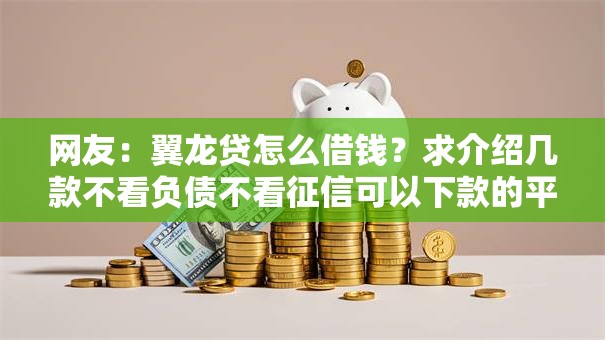 网友：翼龙贷怎么借钱？求介绍几款不看负债不看征信可以下款的平台
