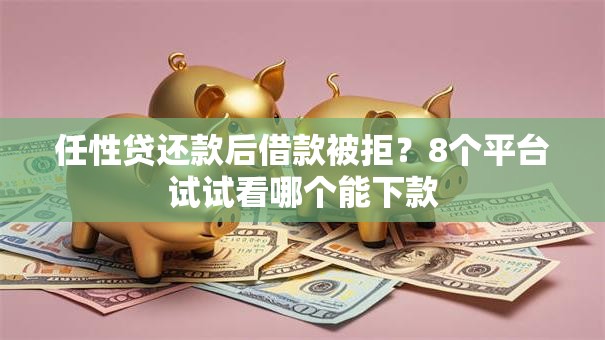 任性贷还款后借款被拒？8个平台试试看哪个能下款