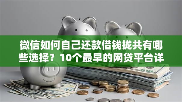 微信如何自己还款借钱拢共有哪些选择？10个最早的网贷平台详解